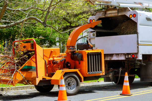 Best Storm Damage Tree Cleanup  in Pine Mountain, GA