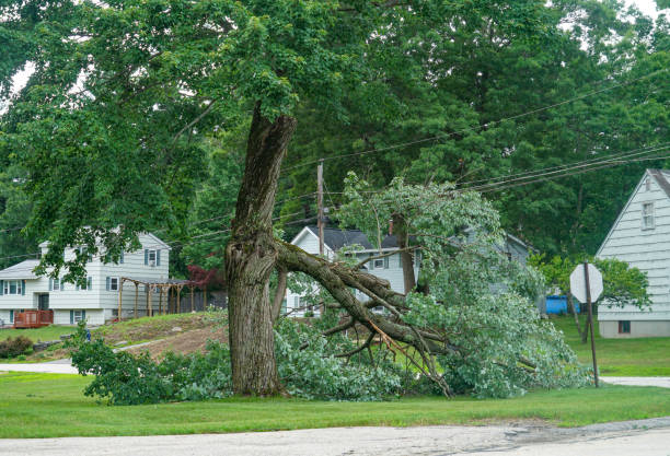 Best Utility Line Clearance  in Pine Mountain, GA